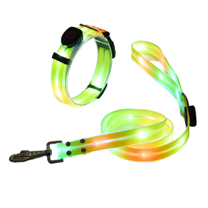 Bộ dây dẫn và vòng cổ chó LED sạc USB chống nước chất lượng cao, phát sáng - Product Image 2