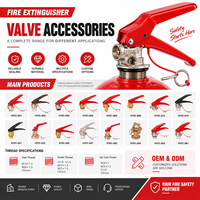 Valve d'extincteur à CO2 à poignée rouge certifiée CE en laiton pour bouteilles de 2 à 10 kg, OEM disponible