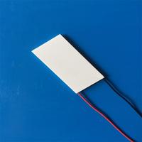 Module de refroidissement thermoélectrique ANLING TES1-03102, plaque de refroidissement pour soins esthétiques, marteau froid/chaud, semi-conducteur Peltier 10x30x3.5mm