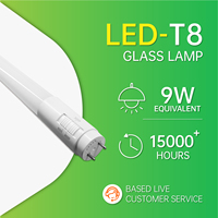 Lámpara LED T8 de 9W y 1200mm con Sensor de Movimiento por Radar, Luz de Día de 6500K, Sin Parpadeo, Certificación CE, CB y LVD, para Uso en Jardín