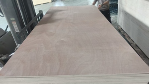 Pannello in <span class=keywords><strong>Compensato</strong></span> Commerciale 1250*2500 <span class=keywords><strong>MM</strong></span>, Pannello in <span class=keywords><strong>Compensato</strong></span> Decorativo - Product Image 2