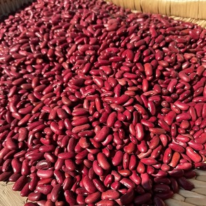 Frijoles Rojos Naturales Orgánicos Crudos con Alto Contenido de Proteínas para Dietas Vegetarianas y Preparación de Comidas a Base de Plantas - Product Image 1