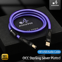 Câble Audio Hifi USB type-A à type-B OCC plaqué argent mâle à mâle câble USB pour mélangeur ordinateur carte son A-B C-B câble de données