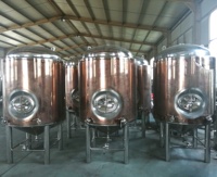 Cuve de stockage personnalisée 300L 400L 500L 600L 1000L 2000L 3000L 5000L 8000L de bière, vin, whisky, gin et spiritueux