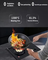 Cuisinière à induction sans fil 3000W, réchaud haute température pour la maison et le camping, alimenté par batterie