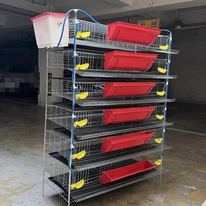Achetez des cages à cailles en acier <span class=keywords><strong>de</strong></span> qualité supérieure pour un usage domestique - Product Image 1