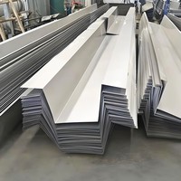 Caniveau de drainage d'eau de pluie avec grille en acier inoxydable, directement de l'usine, pour les systèmes de drainage des trottoirs et allées