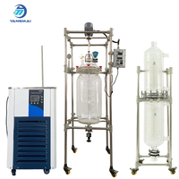 Yangmai - Reactor de Vidrio de Una Sola Capa de 80L, Motor de 220V, Uso Automático en Laboratorio, 1 Año de Garantía, Ecológico, Alta Calidad