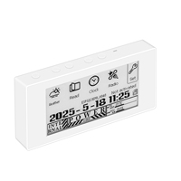 RW01 Mini E-Ink Reader (Panel Hitam/Putih) Pembaca E-Book untuk Jam Cuaca, Tampilan Gambar, Alarm, File TXT & EPUB