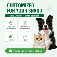 Complément alimentaire pour la santé urinaire des chats, pour le soutien de la vessie, avec probiotiques, taurine et formule antioxydante