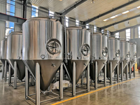 Cuve de Fermentation Conique en Acier Inoxydable à Dents Côneées pour la Production de Bière, Capacité 5000L