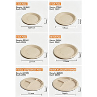 Assiettes jetables écologiques en fibre de bambou compostables, rondes, pour dîner, fête, camping, mariage, service de plats à emporter