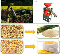 Nouvelle machine à décortiquer le riz à essence 2025 pour usage domestique, mini décortiqueuse de céréales portable pour riz, millet, soja