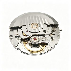 Mouvement de montre en acier inoxydable de haute qualité, tout neuf, mouvement Tianjin 2824, calendrier simple jour. Horloger assemble une montre - Product Image 4