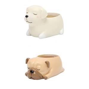Blanco marrón lindo cachorro <span class=keywords><strong>perro</strong></span> escritorio interior <span class=keywords><strong>maceta</strong></span> suculenta - Product Image 2