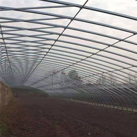 Serre Agricole Multichapelle à Film Galvanisé, Direct Usine