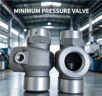 Válvula de Presión Mínima Universal de Alta Calidad Red Star MPV-20 MPV-32 MPV-50 MPV-65 MPV-80 para Compresores de Tornillo