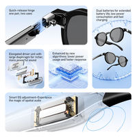 Lunettes audio intelligentes IA OEM, branches interchangeables, lunettes de soleil polarisées d'été, assistant vocal IA, anti-lumière bleue