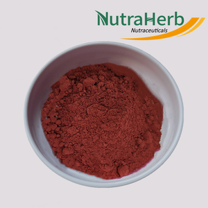 Extracto de tomate puro licopeno natural en polvo extracto de licopeno - Product Image 2