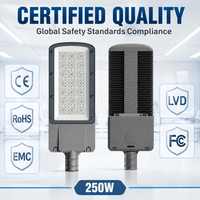 Luminaire LED de 250W pour éclairage public avec plusieurs distributions de faisceaux, IP66, pour larges allées et grandes surfaces extérieures