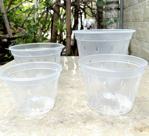 Vaso Trasparente in <span class=keywords><strong>Plastica</strong></span> PP Rigida per Orchidee Phalaenopsis, Contenitore Sospeso con Colonna d'Aria e Drenaggio Inferiore per Casa e <span class=keywords><strong>Giardino</strong></span> - Product Image 6