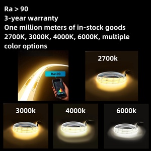 Bande LED à double couleur COB 2700K-6500K Led 12V 24V COB Led Strip blanc/chaud blanc/rouge/bleu/vert Options de couleur - Product Image 2