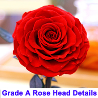 Vente en gros 2025 cadeau de fleur de rosas éternelle de la Saint-Valentin Logo personnalisé sur rose immortelle stabilisée pour toujours préservée dans un dôme en verre
