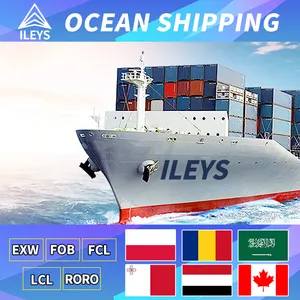 Склад морских грузов EXW FOB FCL LCL RORO, экспедитор из Китая в Йемен, Саудовскую Мальту, Румынскую Польшу