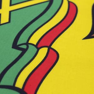 Stock Etiopía Bandera con León Bandera 3x5ft León de Judá Banderas al aire libre - Product Image 3