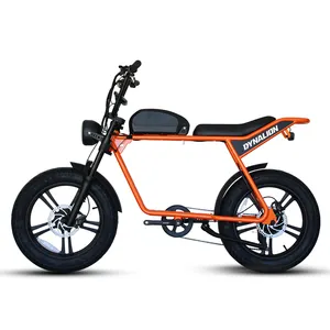 Prezzo a buon mercato arancione 750 Watt bici elettrica grossista
