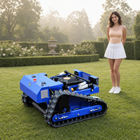 Tondeuse à gazon télécommandée d'origine usine, coupe-herbe à chenilles à essence, conception durable pour terrasses, ranch, CE Euro 5 EPA