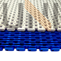 Modulaire kunststof transportband, FDA-goedgekeurd, voor de drankenindustrie