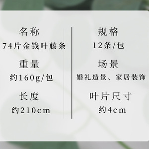 <b>Artificial</b> Money <b>Tree</b> Vine Plastic Hanging Plant High Simulation Leaves Wedding Home Decoration Indoor Use - Product Image 3