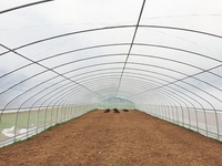 Serre tunnel en acier galvanisé à chaud sur mesure, à insérer dans le sol, pour la culture de légumes et de fruits