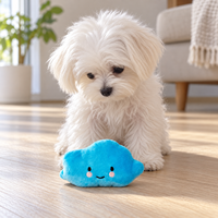 Piepende Pluche Hondenspeelgoed Diverse Fruit- en Dierenvormen Zachte Knuffelspeelgoed voor Puppy's Kleine en Middelgrote Honden