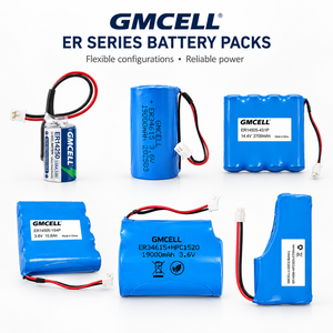 Paquete de Baterías LiSOCl2 Personalizado con Condensadores/Extensiones de Soldadura/Cable/Conector, Celda de Cloruro de Tionilo de Litio de 3.6V para NB-IOT - Product Image 1
