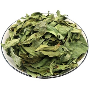 Long <span class=keywords><strong>Li</strong></span> <span class=keywords><strong>Ye</strong></span> Bulk New Sauropus Spatulifolius Leaf Pure Dried Raw Sauropus Spatulifolius Leaves pour Herb - Product Image 2