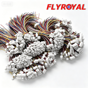 Conector Personalizado JST ZH PH EH XH com Passo de 1.0-2.54mm, 2-6 Pinos, Montagem de Chicote de Fios Personalizado para Iluminação LED e Dispositivos Industriais - Product Image 1
