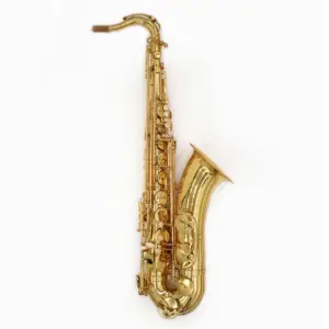 Penjualan Langsung dari Pabrik Instrumen Permainan Ensemble Konser Bb Tenor Saksofon