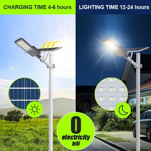 Lampadaire Solaire à Capteur Séparé Haute Qualité 60W 80W 100W 120W 160W IP66 et Lampadaire LED Solaire - Product Image 3