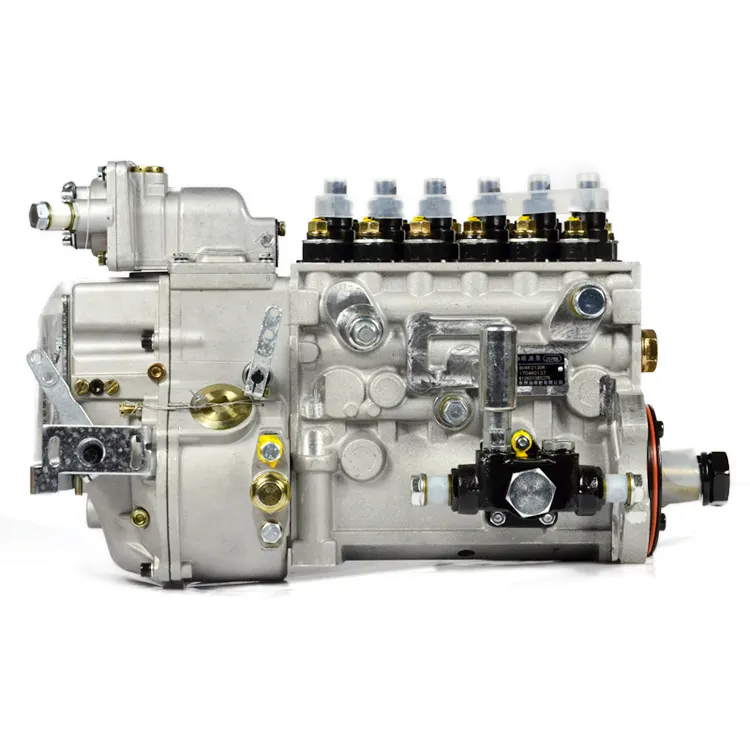 Construction machinery Diesel Engine Fuel Injection Pump 6P1139 BP5876 1001130143 612601080207 Weichai WD615 Truck Engine