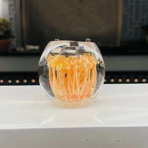 Tacchi a sfera chiari da <span class=keywords><strong>5</strong></span> <span class=keywords><strong>cm</strong></span> con fiori all'interno per la produzione di scarpe alla moda - Product Image 5