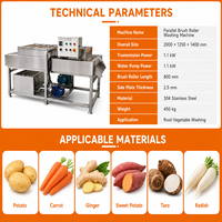 Industriële wasmachine voor zwaar gebruik met parallel borstelrollensysteem voor de verwerking van fruit en groenten