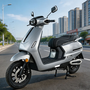 Motocicletas CKD SKD de 12 Pulgadas, 1100/1300W, Velocidad 60km/h, Hermosa Motocicleta Eléctrica para Adultos en Venta - Product Image 1