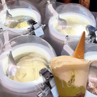 Machine à glaces en acier inoxydable avec agitation continu pour lait et noix, certifiée Energy Star, sur pied