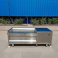 Gemakkelijk te gebruiken schelp- en mosselschelpen-sproeier, fruit- en groentewasmachine, motor, kernpomp, belletjes