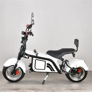 Hot Sale 2023 The Most Fashionable Citycoco 2 Wheel Electric Scooter, Adult Electric Motorcycle