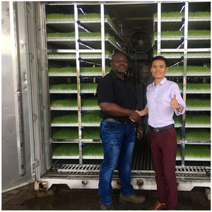 2024 chất lượng cao 40 HQ thức ăn gia súc container thủy canh nuôi thủy canh phát triển hệ thống thủy canh thức ăn gia súc container - Product Image 5