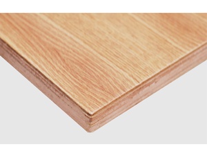 E210261-12 <span class=keywords><strong>Etabli</strong></span> de portes multi-tiroirs en bois de chêne <span class=keywords><strong>massif</strong></span> fabricant professionnel pour le travail et le stockage - Product Image 6