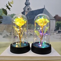 Cadeau original, roses éternelles, fleurs sous cloche en plastique, lumière LED, rose galaxie pour la fête des mères, la rentrée scolaire, Noël